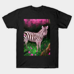 Pink Zebra T-Shirt